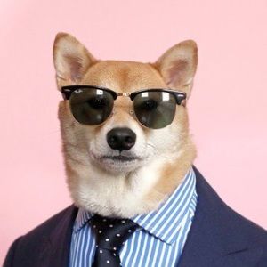 Meet your Posher, Alex